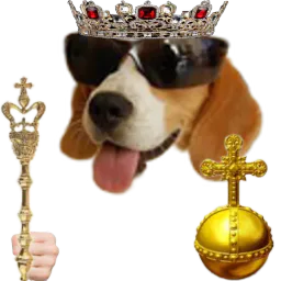 :Roi_des_chiens: