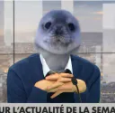 :PhoqueJournaliste:
