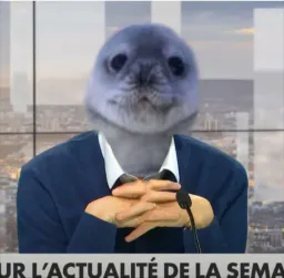 :PhoqueJournaliste: