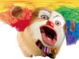 :hamster_perruque_deforme: