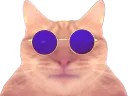 :chatpill: