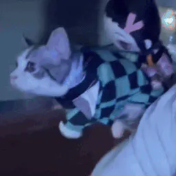 :KJ_chat_volant: