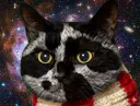 :Triss-Chat-Spirituel: