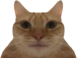 :cat: