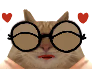 :Chat_lover: