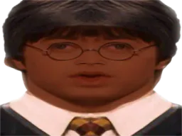 :Harry_Potter_noir: