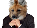 :tonyzemmour: