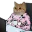 Photo de profil de Adminette