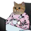 Photo de profil de Adminette