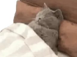 :disparaitre: