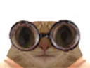 :chat_lunettes_gif: