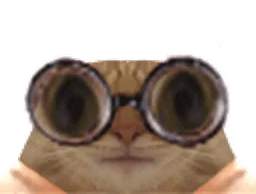 :chat_lunettes_gif: