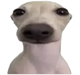 :tourelle_toutoubot: