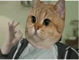 :sodium_ok:
