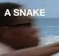 :SnakeChidi: