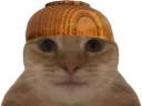 :Chat_bolenbwa: