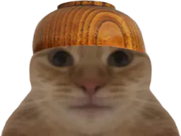 :Chat_bolenbwa: