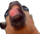 :miii:
