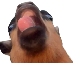 :miii: