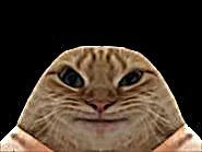 :Chat_Gange: