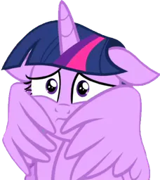 :twilight_peur: