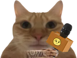 :Chat_tv: