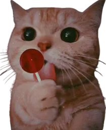 :LolipopCat: