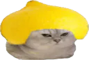 :chatbrushingcitron: