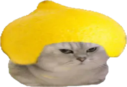 :chatbrushingcitron: