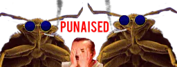 :Punaised: