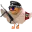 Photo de profil de CasseurDanus