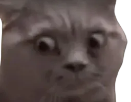 :wut: