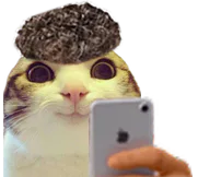 :chat_marrant_brother: