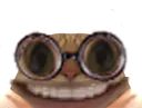 :chat_lunette_gros_sourire: