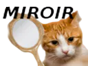 :miror: