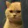 Photo de profil de MaxCat