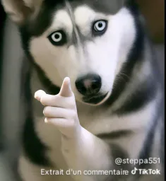 :eruikbj: