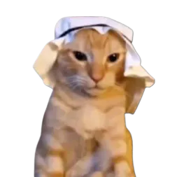:Chatarabe: