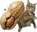 :Chanut: