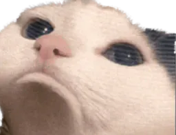 :Chat_boude: