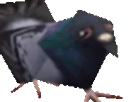 :Piou: