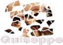 :Tu_es_brise_guiseppe:
