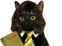:CIA_CAT:
