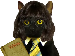 :CIA_CAT: