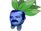 :Mystherbe: