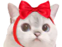 :ChatNoeud: