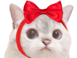 :ChatNoeud: