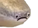 :poissontriste1: