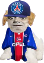 :Chien_bourdon_psg: