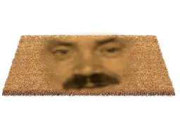 :risitas_paillasson: